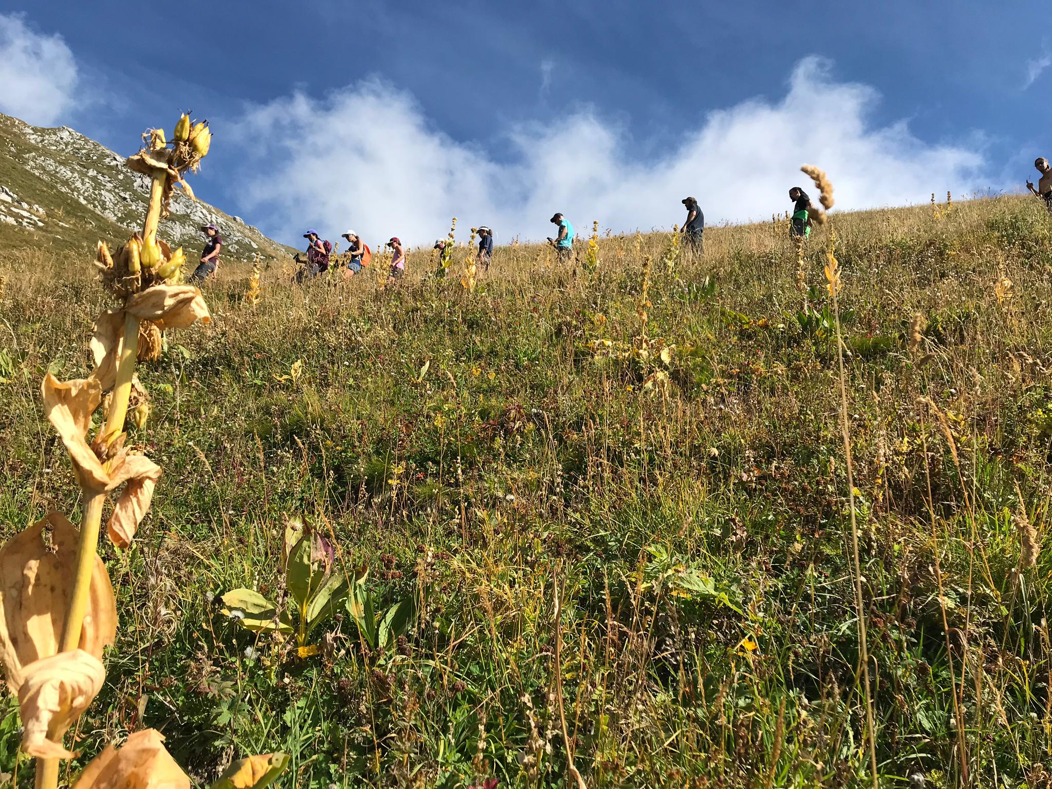 Jura Trekking