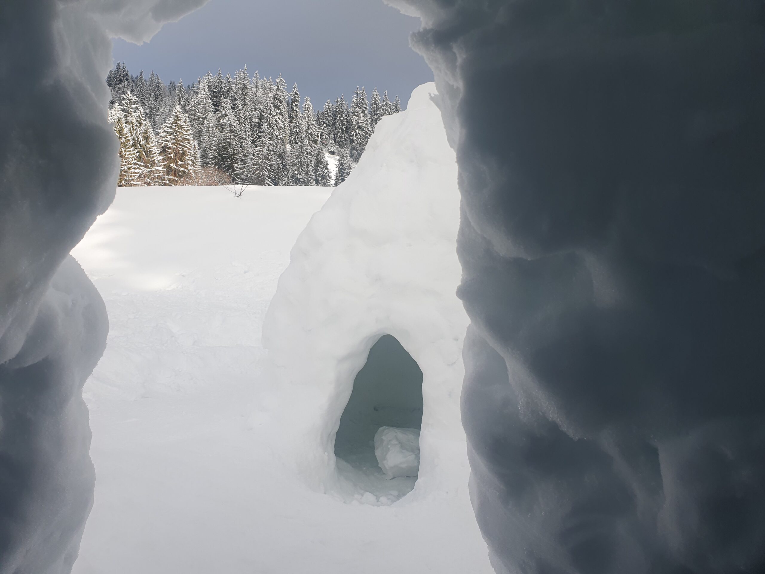 Mission igloo